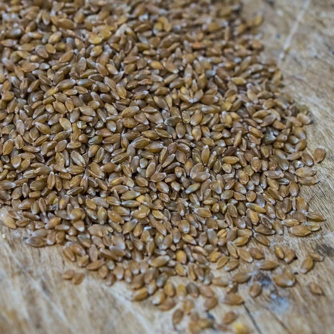 Spectacular Whole Wheat Heritage Flour 2.5lbs
