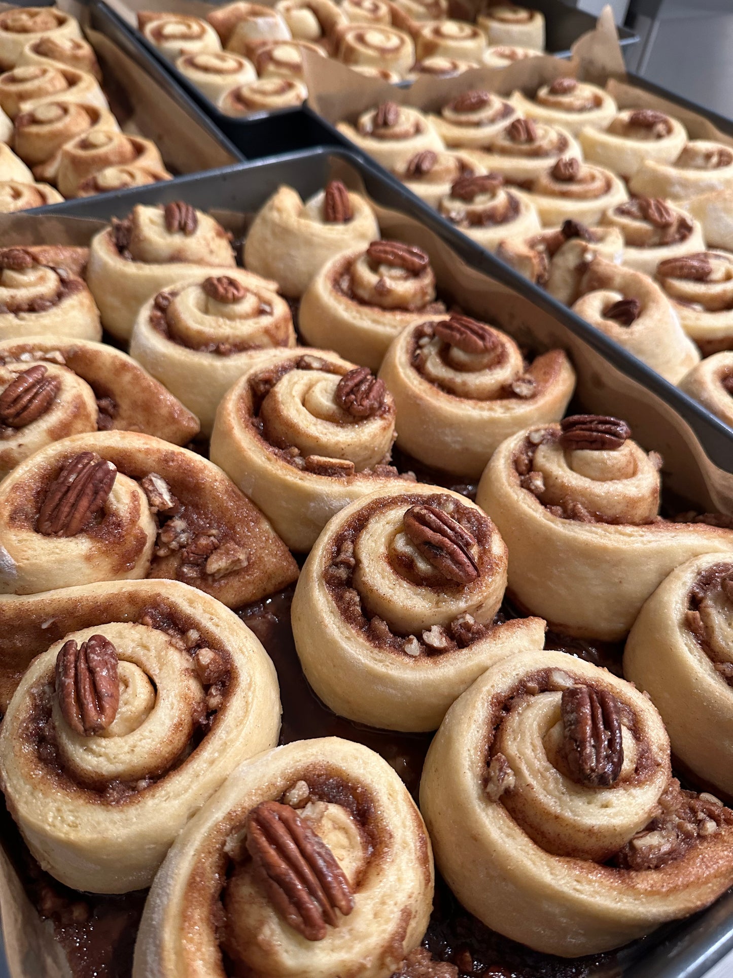 Amazing All-Purpose Heritage Flour 2.5lbs