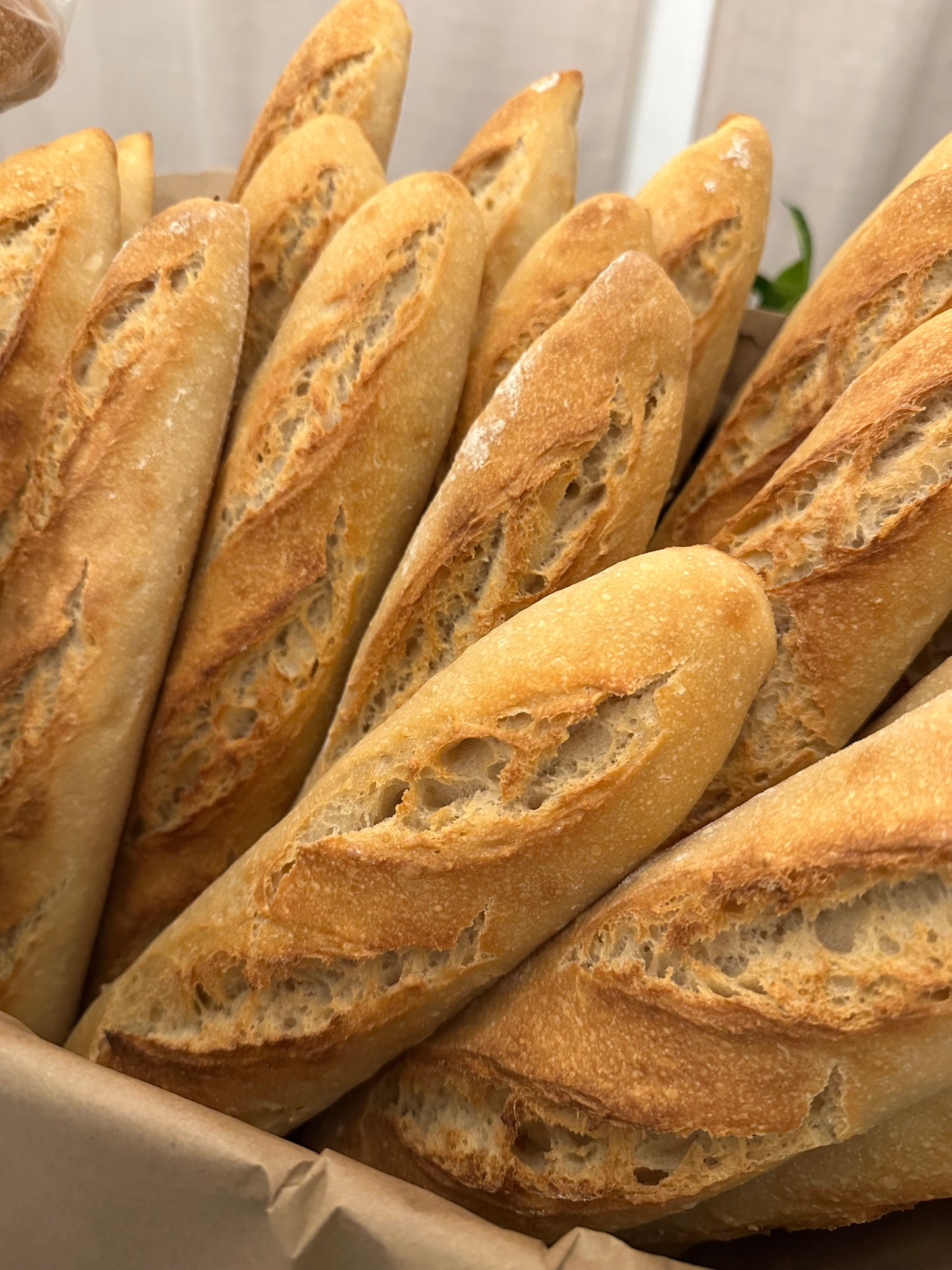 Beneficial Bread Blend Flour 2.5lbs