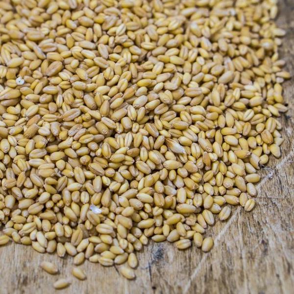 Amazing All-Purpose Heritage Flour 2.5lbs